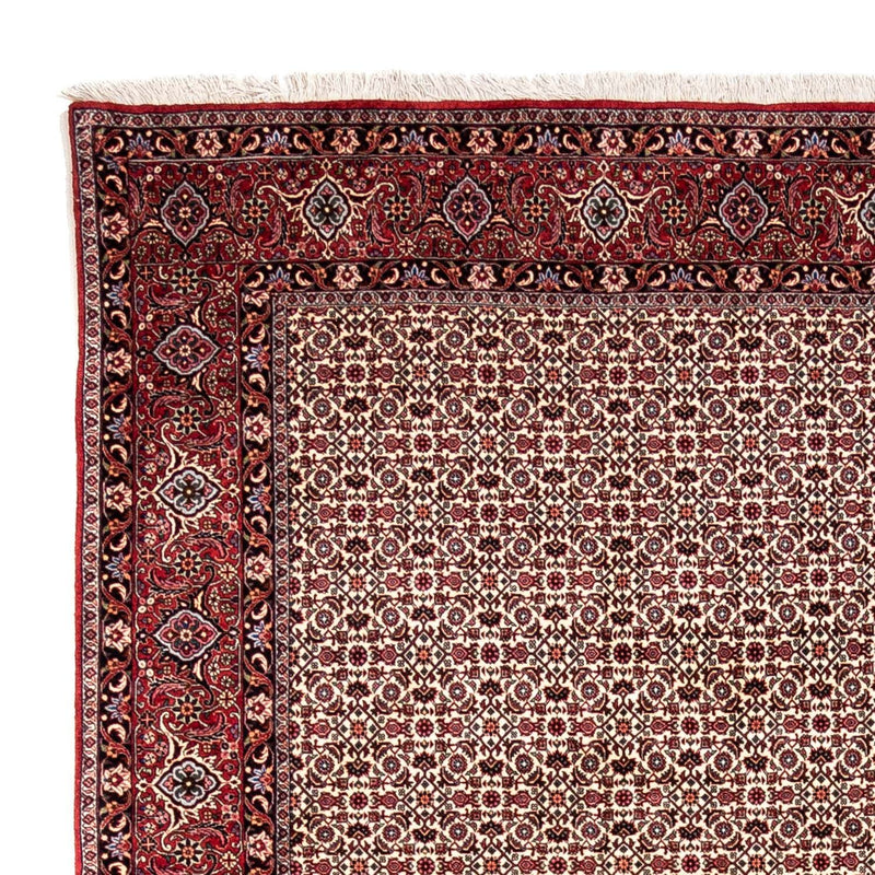 Alfombra persa - Bidjar - 343 x 253 cm - beige