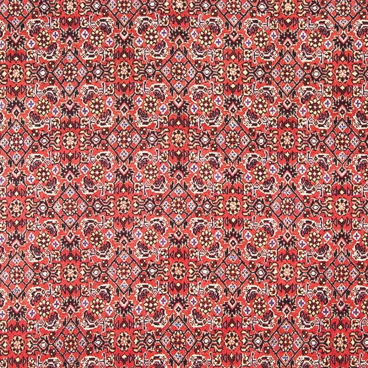 Alfombra persa - Bidjar cuadrado - 105 x 101 cm - rojo