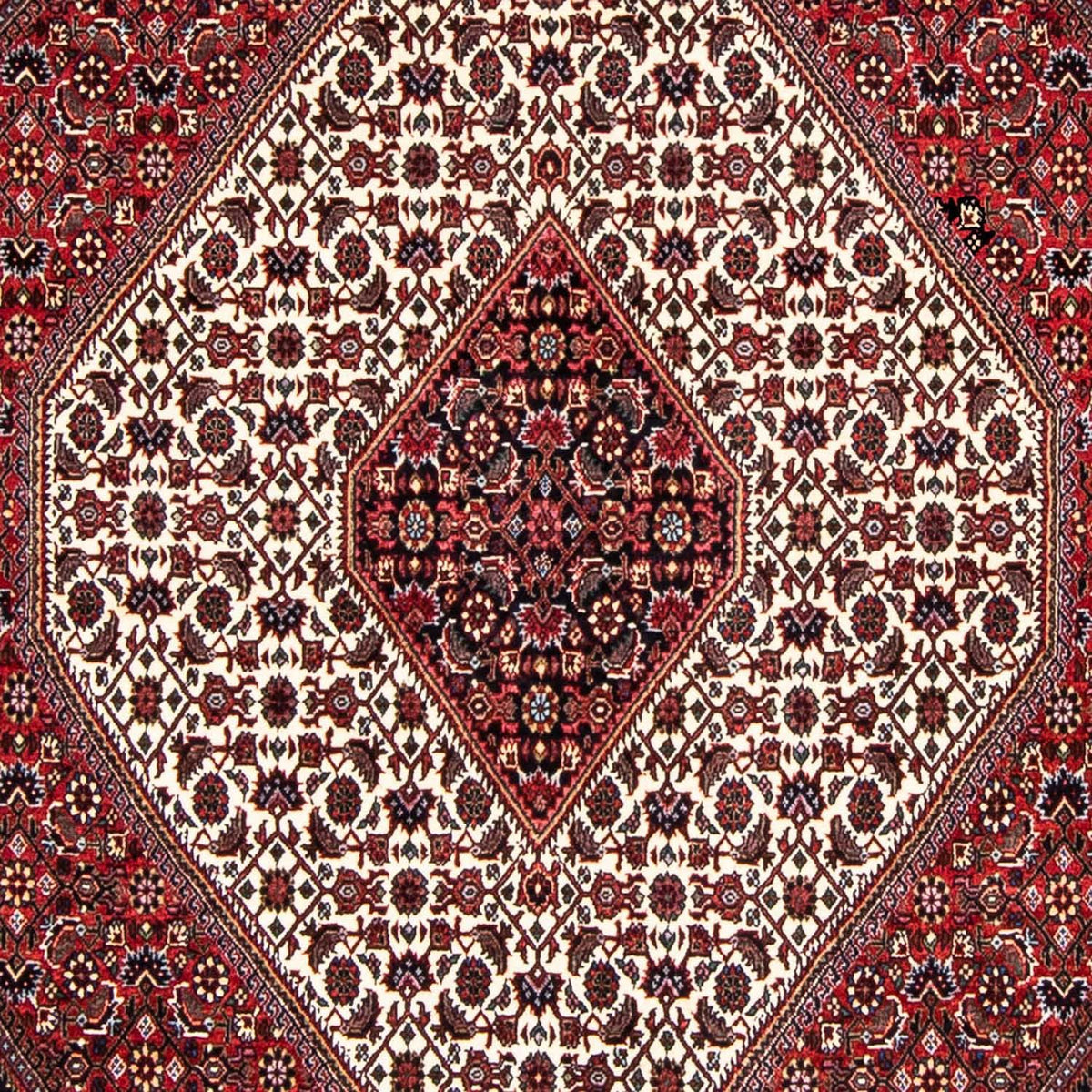 Alfombra persa - Bidjar - 236 x 172 cm - rojo oscuro