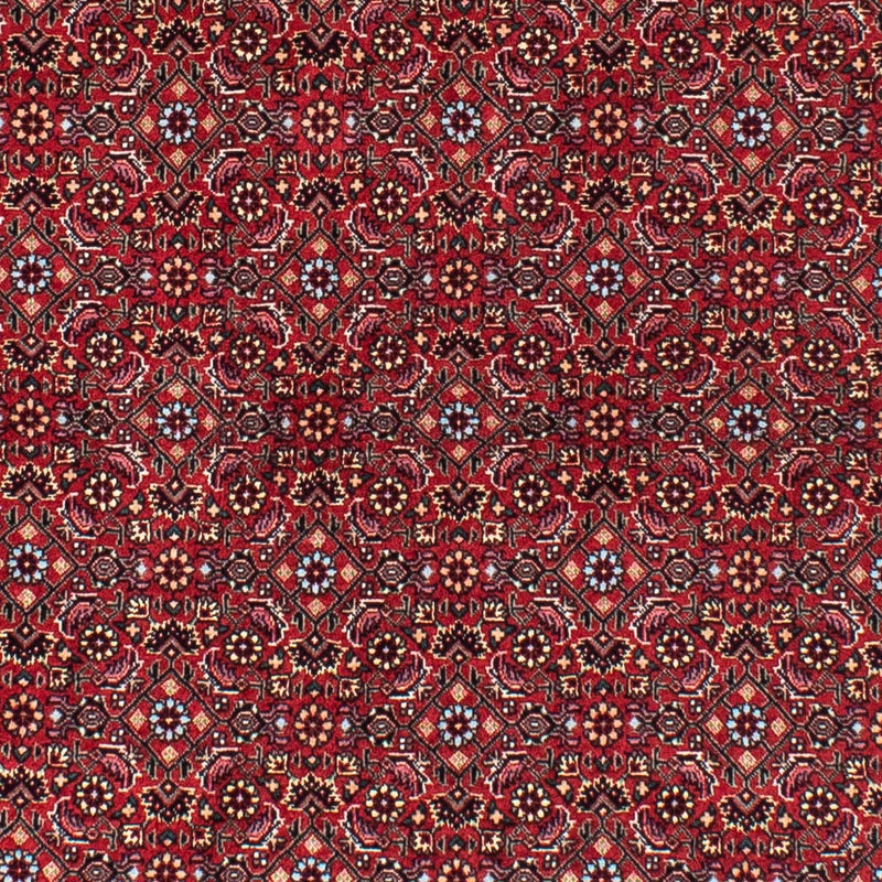 Alfombra persa - Bidjar redondo  - 150 x 150 cm - rojo oscuro
