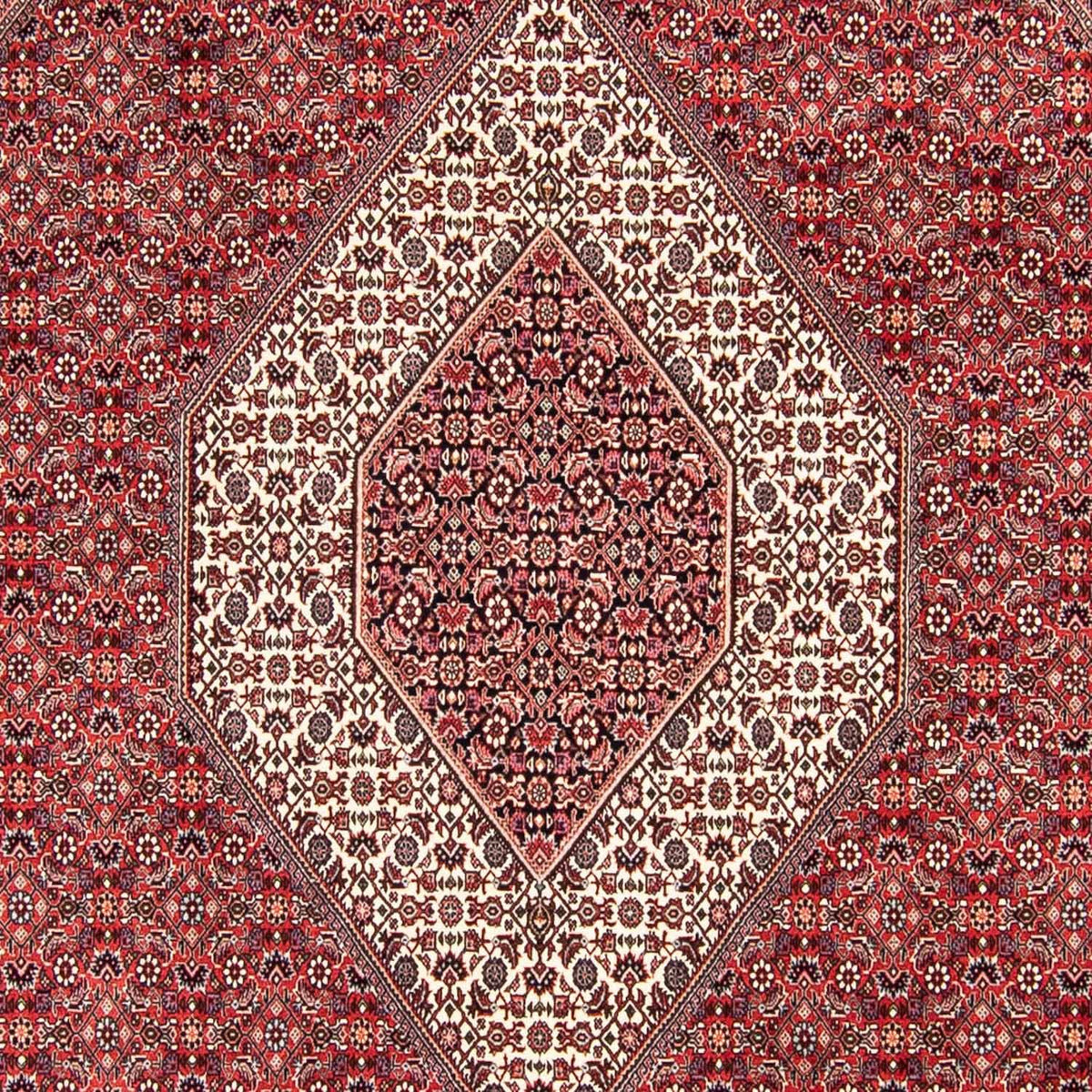 Alfombra persa - Bidjar - 305 x 253 cm - rojo oscuro