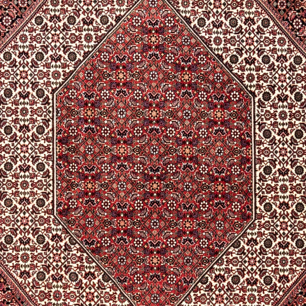 Alfombra persa - Bidjar - 353 x 250 cm - rojo