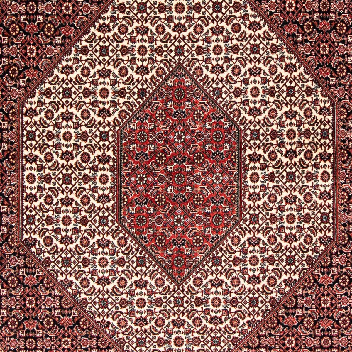 Alfombra persa - Bidjar - 242 x 171 cm - rojo claro