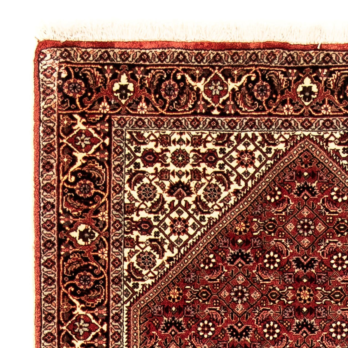 Alfombra de pasillo Alfombra persa - Bidjar - 281 x 80 cm - multicolor