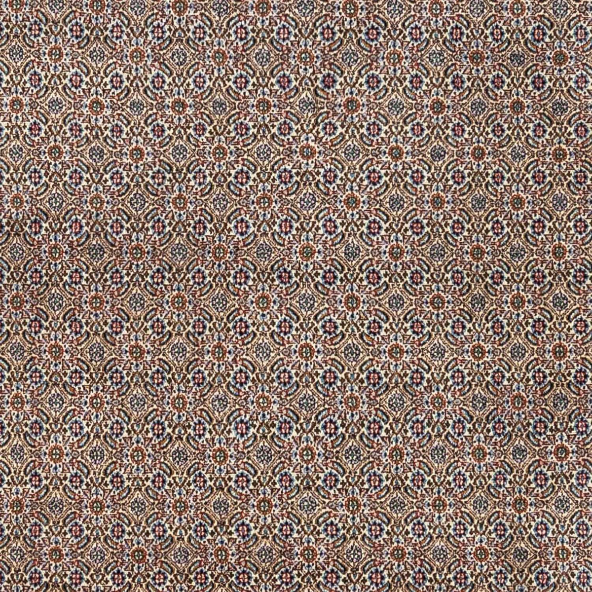 Alfombra persa - Clásica - 334 x 248 cm - beige