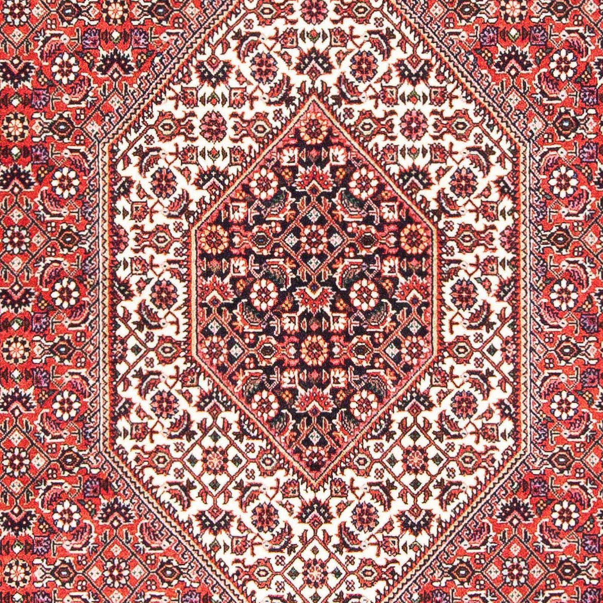 Alfombra persa - Bidjar - 181 x 108 cm - rojo