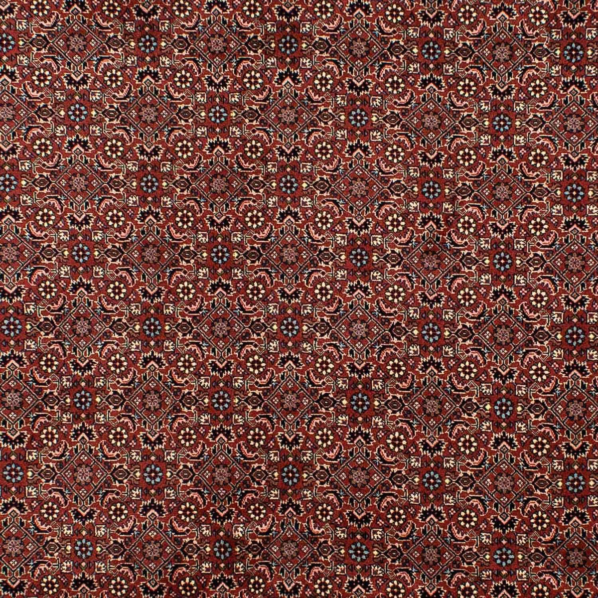 Alfombra persa - Bidjar - 293 x 200 cm - marrón