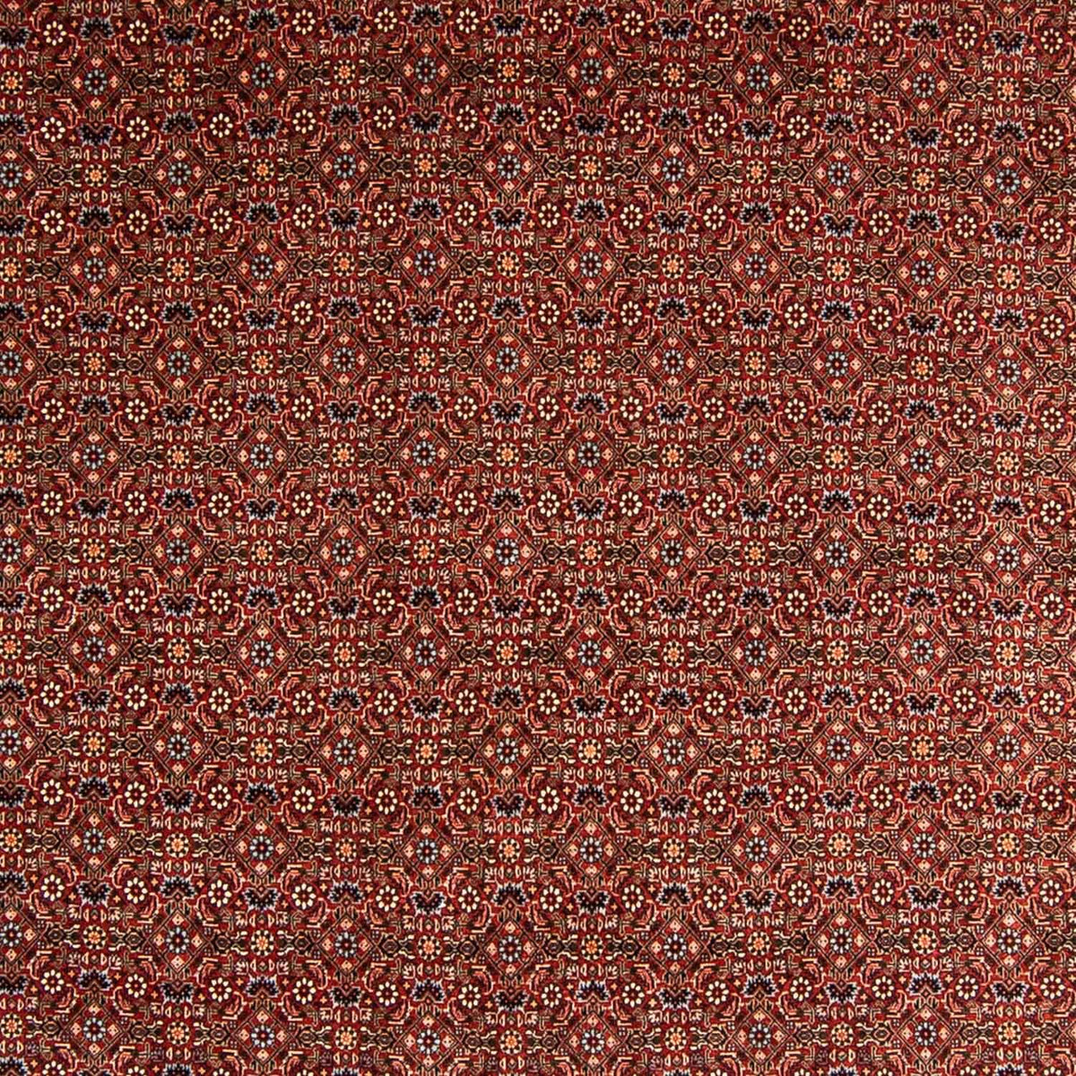Alfombra persa - Bidjar - 340 x 254 cm - rojo oscuro