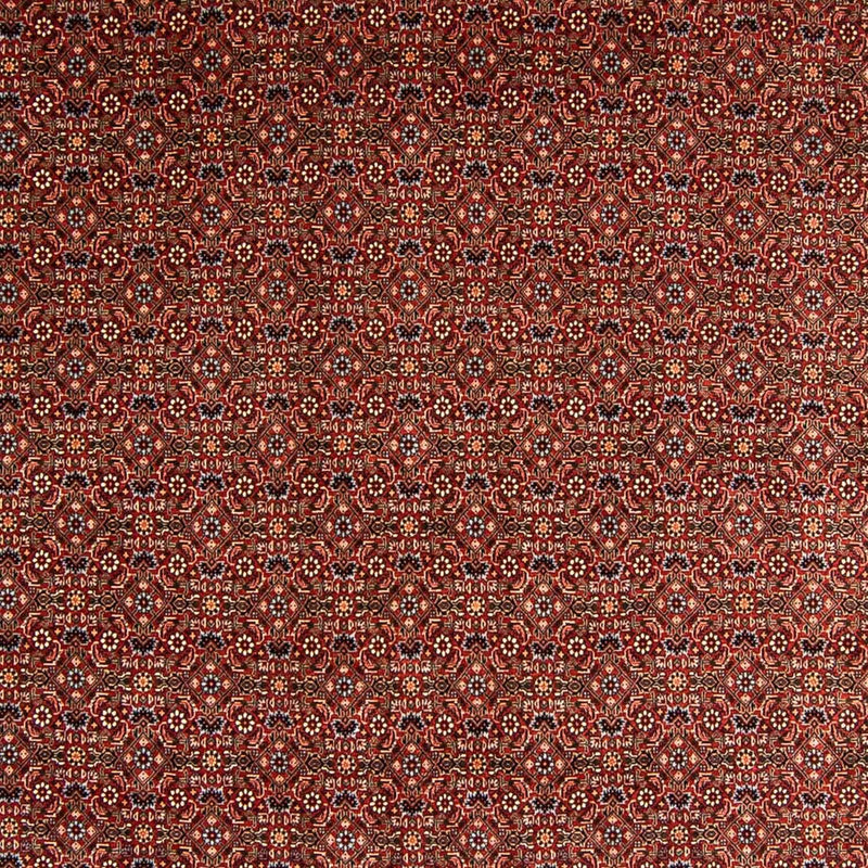 Alfombra persa - Bidjar - 340 x 254 cm - rojo oscuro