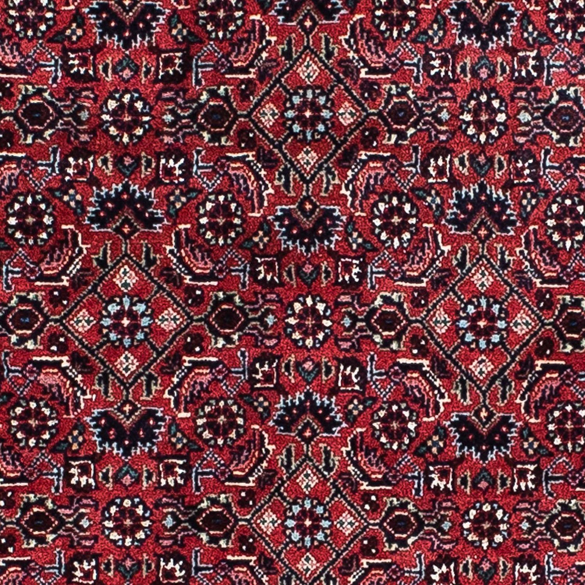 Alfombra persa - Bidjar - 207 x 132 cm - rojo claro