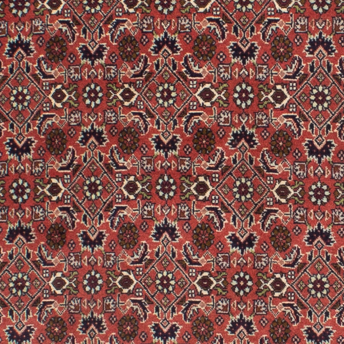 Alfombra de pasillo Alfombra persa - Bidjar - 291 x 84 cm - rojo oscuro