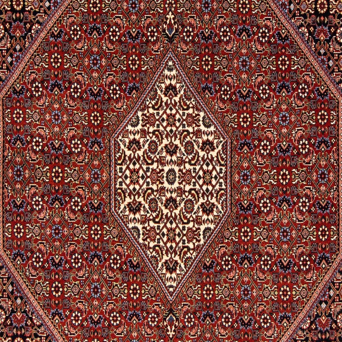 Alfombra persa - Bidjar - 241 x 170 cm - rojo oscuro