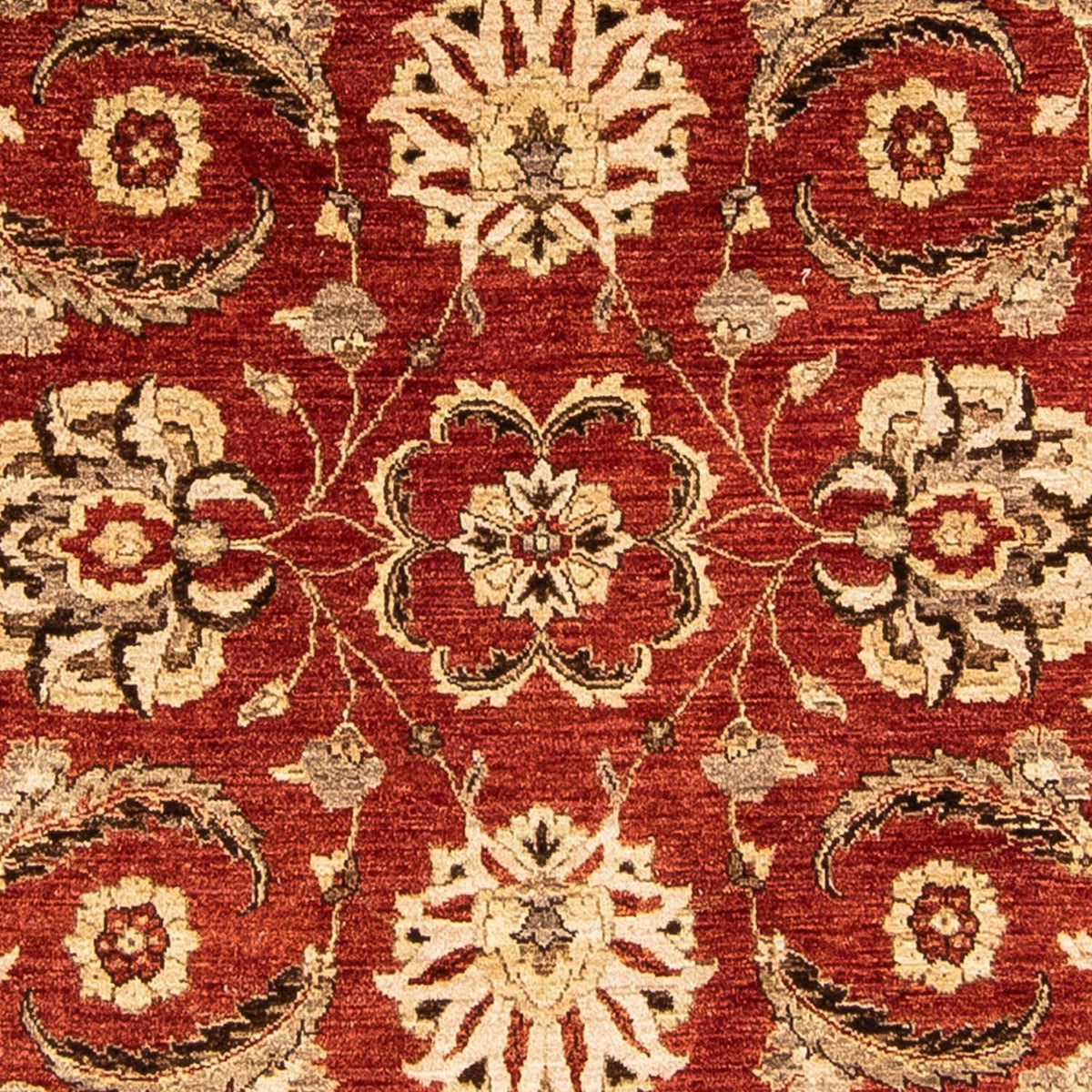Alfombra Ziegler redondo  - 248 x 239 cm - rojo oscuro