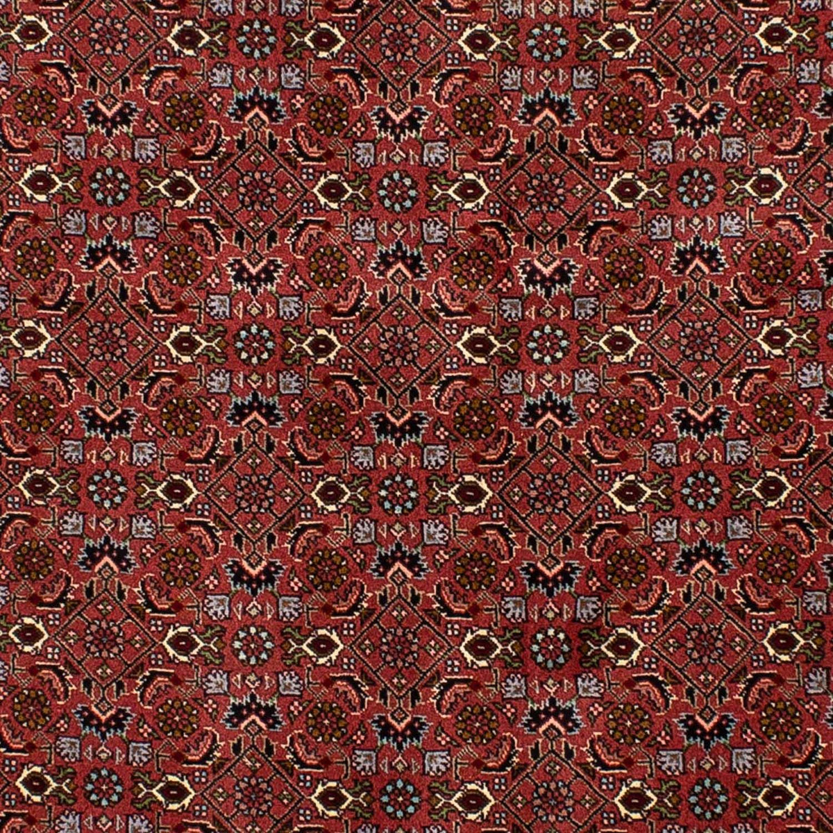 Alfombra persa - Bidjar - 205 x 136 cm - rojo oscuro