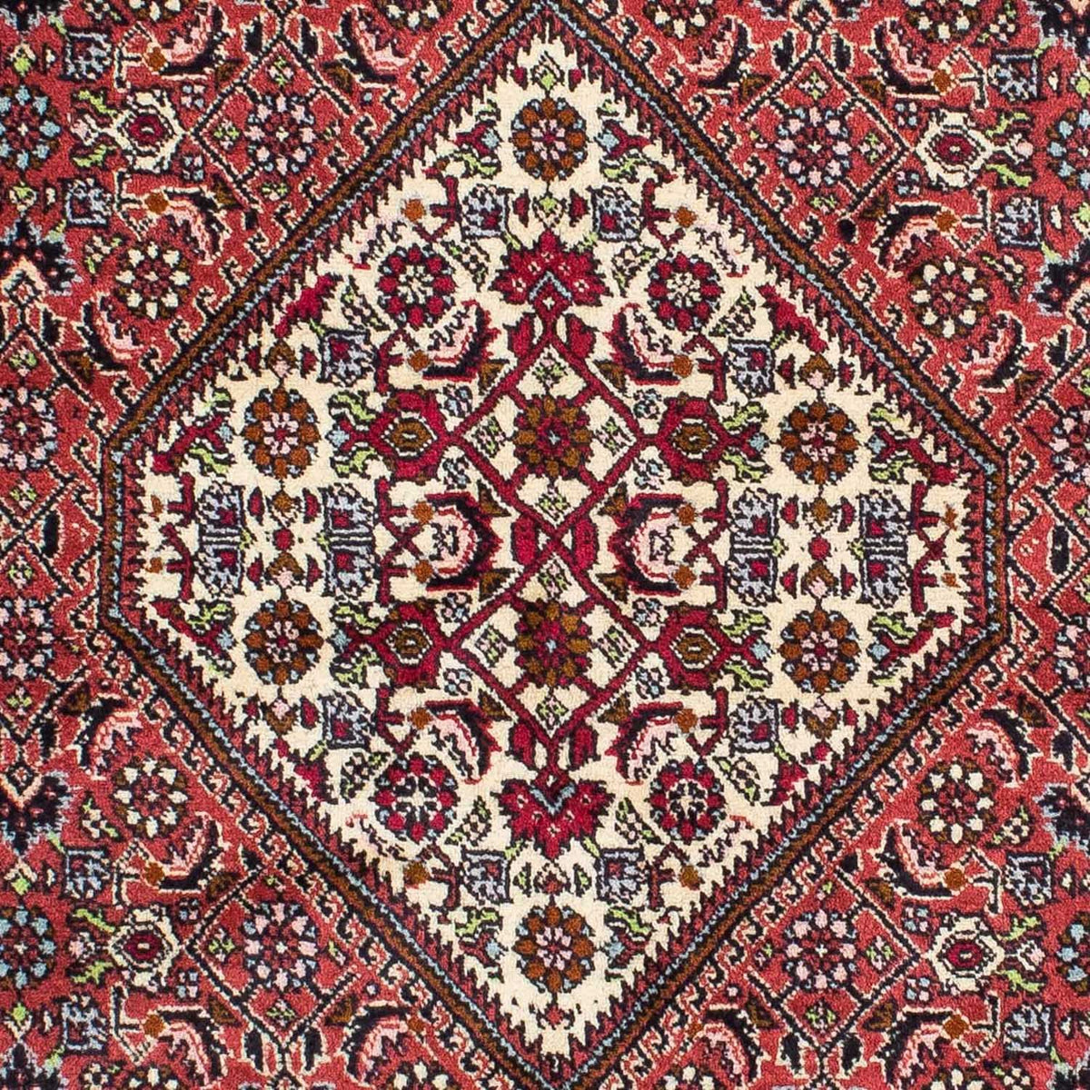 Alfombra persa - Bidjar - 222 x 138 cm - rojo