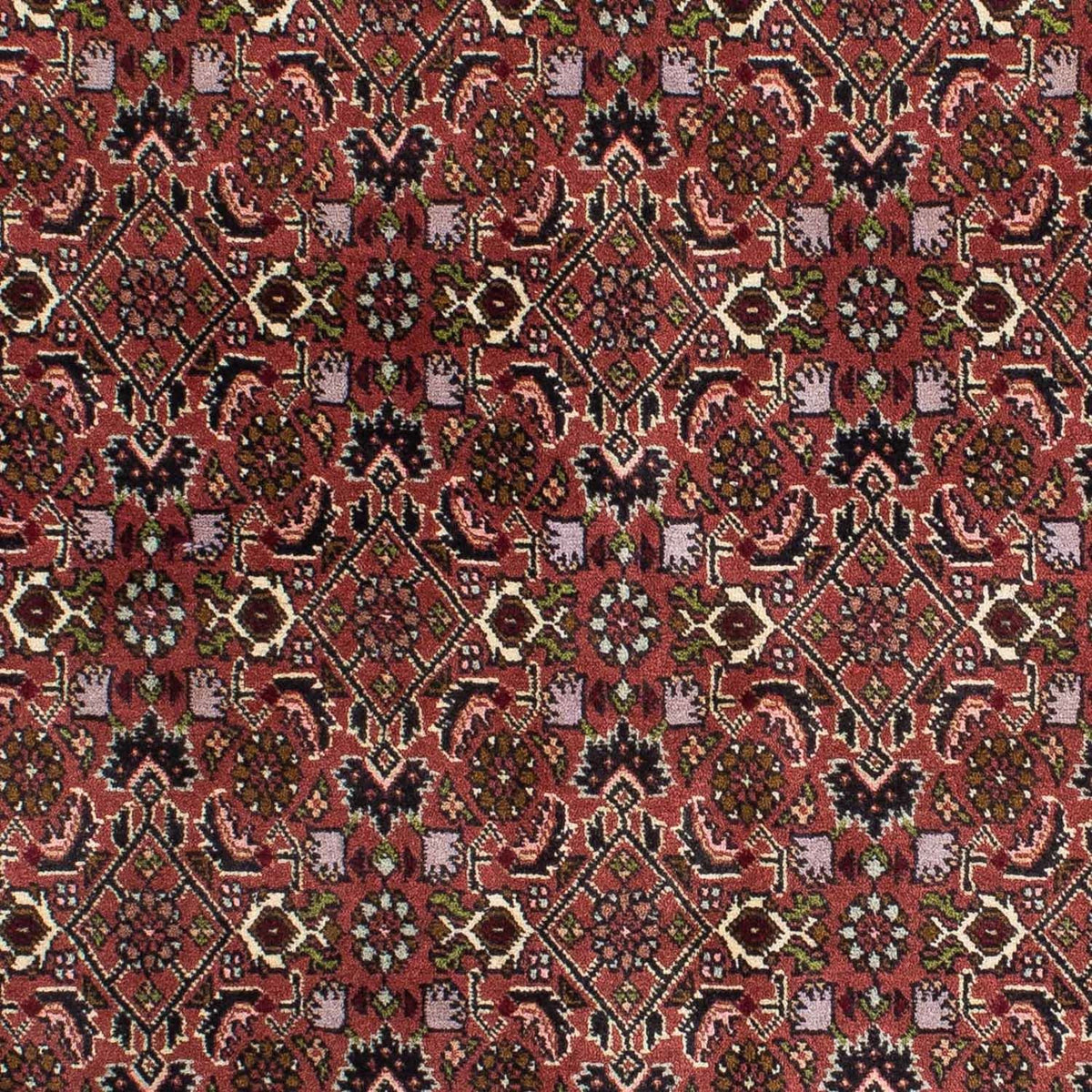 Alfombra persa - Bidjar - 208 x 139 cm - rojo