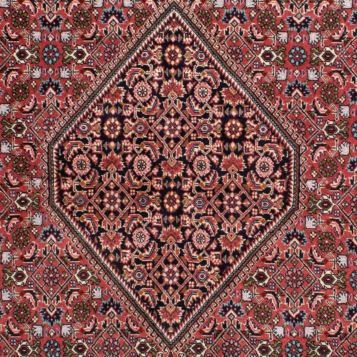 Alfombra persa - Bidjar - 233 x 140 cm - rojo