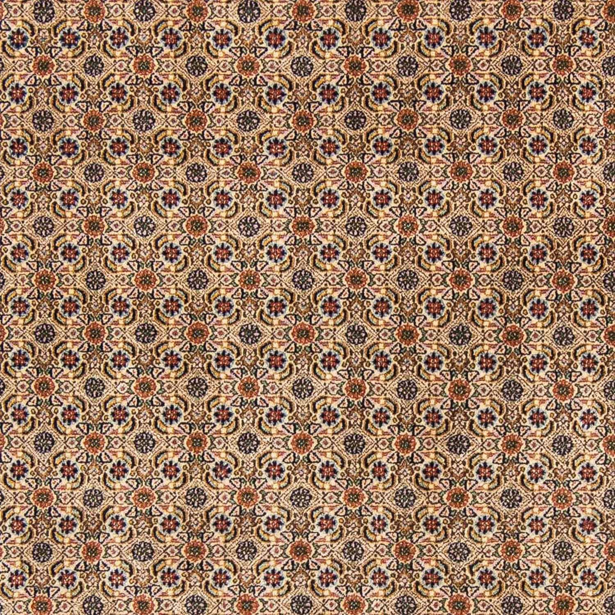 Alfombra persa - Clásica - 298 x 200 cm - beige