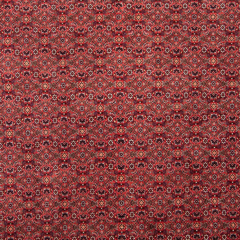 Alfombra persa - Bidjar - 296 x 250 cm - rojo oscuro