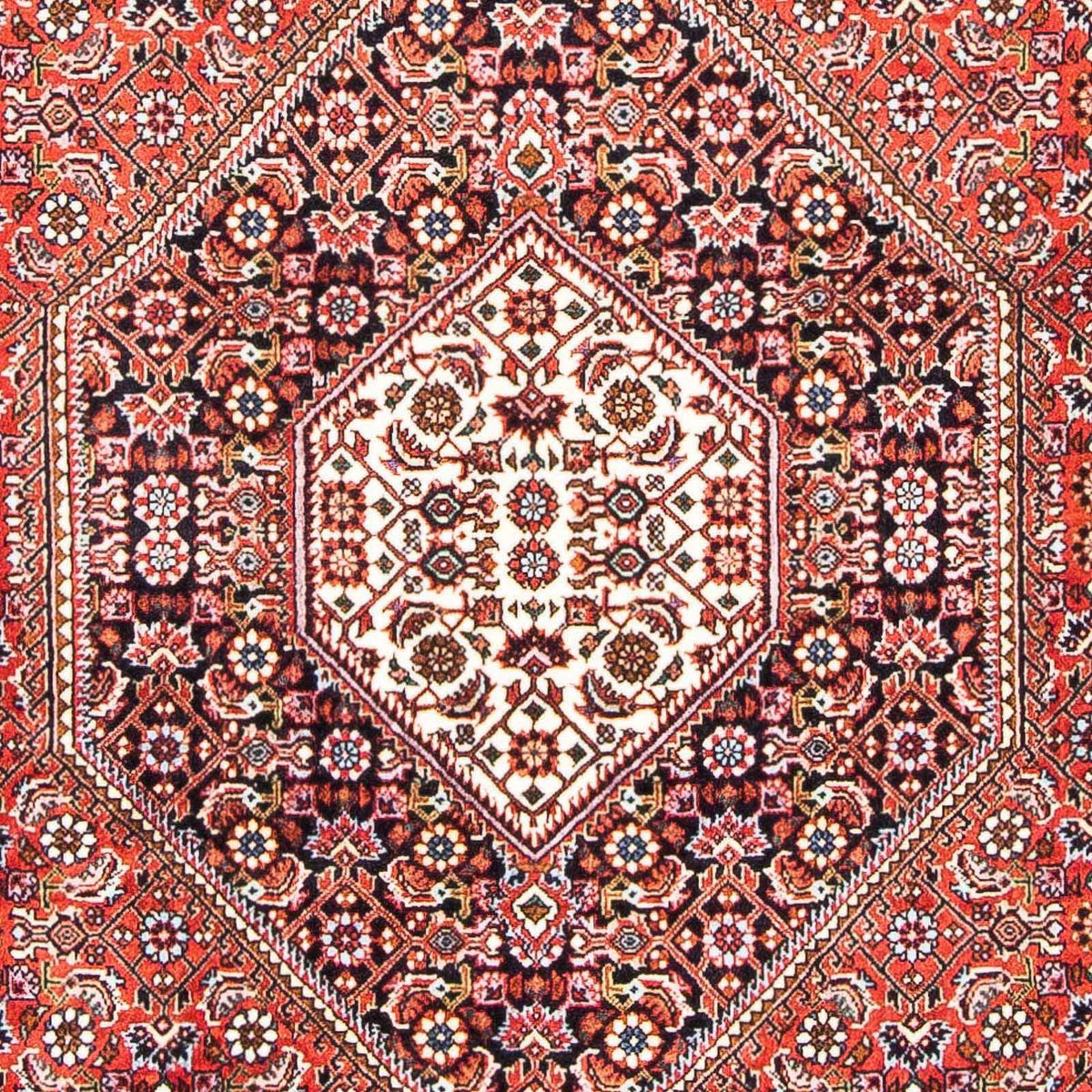 Alfombra persa - Bidjar - 183 x 110 cm - rojo