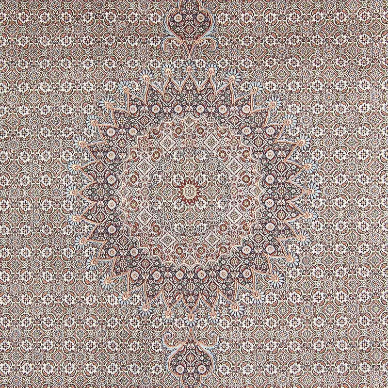 Alfombra persa - Clásica - 342 x 246 cm - marrón claro