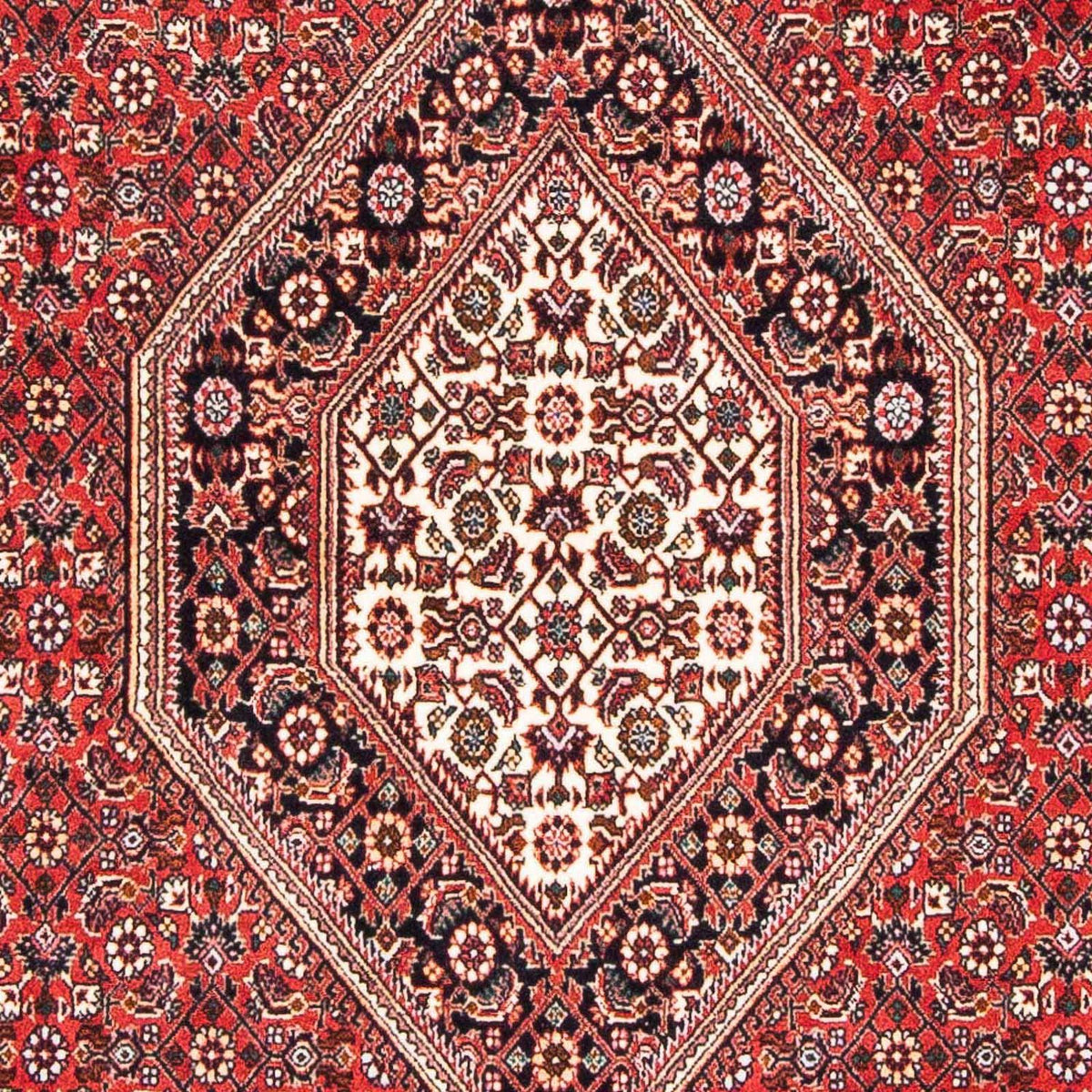 Alfombra persa - Bidjar - 181 x 110 cm - rojo