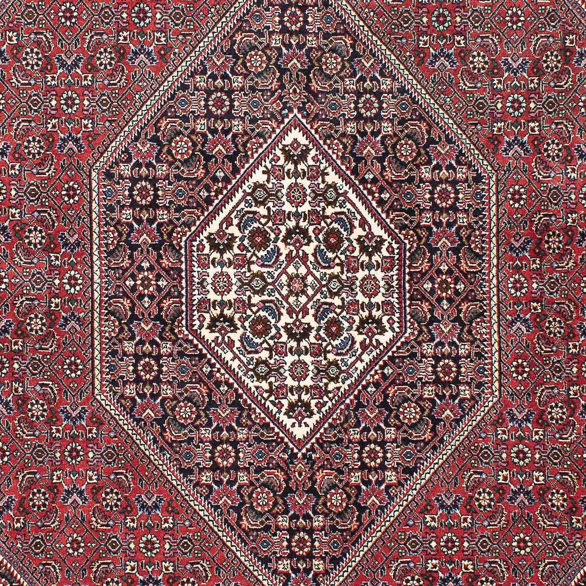 Alfombra persa - Bidjar - 215 x 148 cm - rojo
