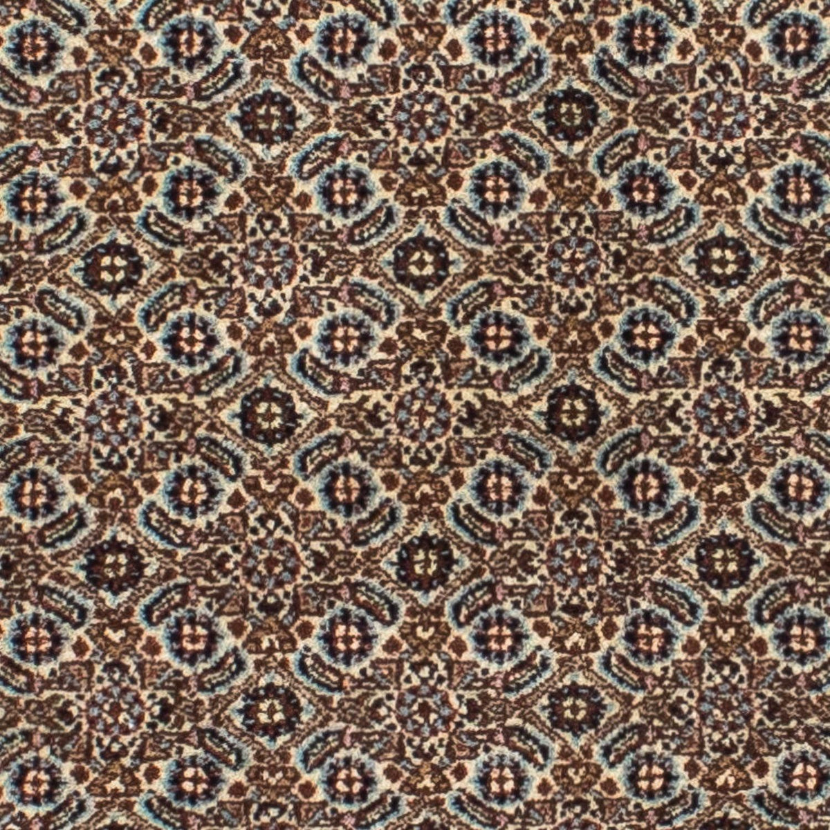 Alfombra de pasillo Alfombra persa - Clásica - 297 x 77 cm - beige