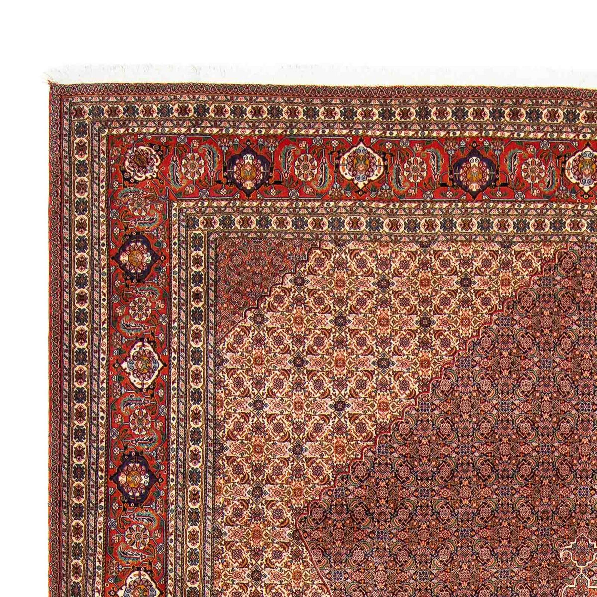 Alfombra persa - Nómada - 352 x 265 cm - marrón