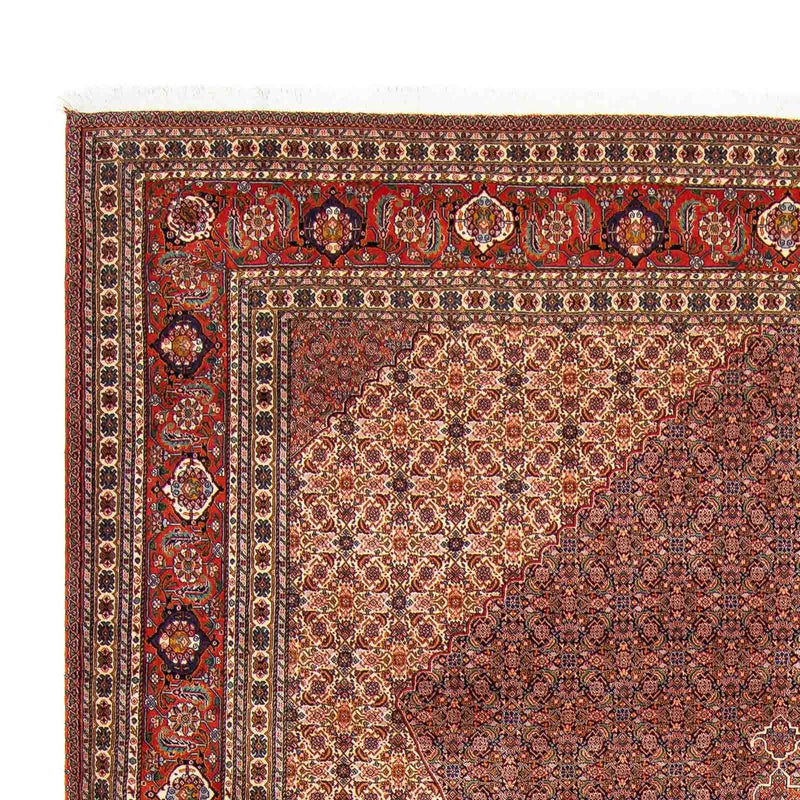 Alfombra persa - Nómada - 352 x 265 cm - marrón