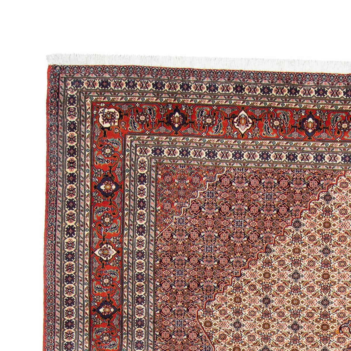 Alfombra persa - Nómada - 313 x 212 cm - marrón claro