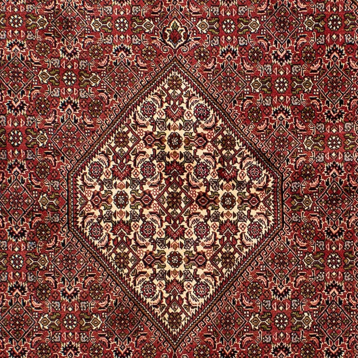 Alfombra persa - Bidjar - 235 x 140 cm - rojo claro