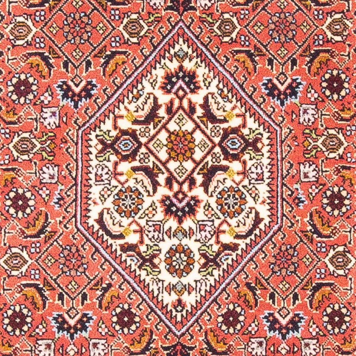 Alfombra persa - Bidjar - 150 x 81 cm - rojo claro