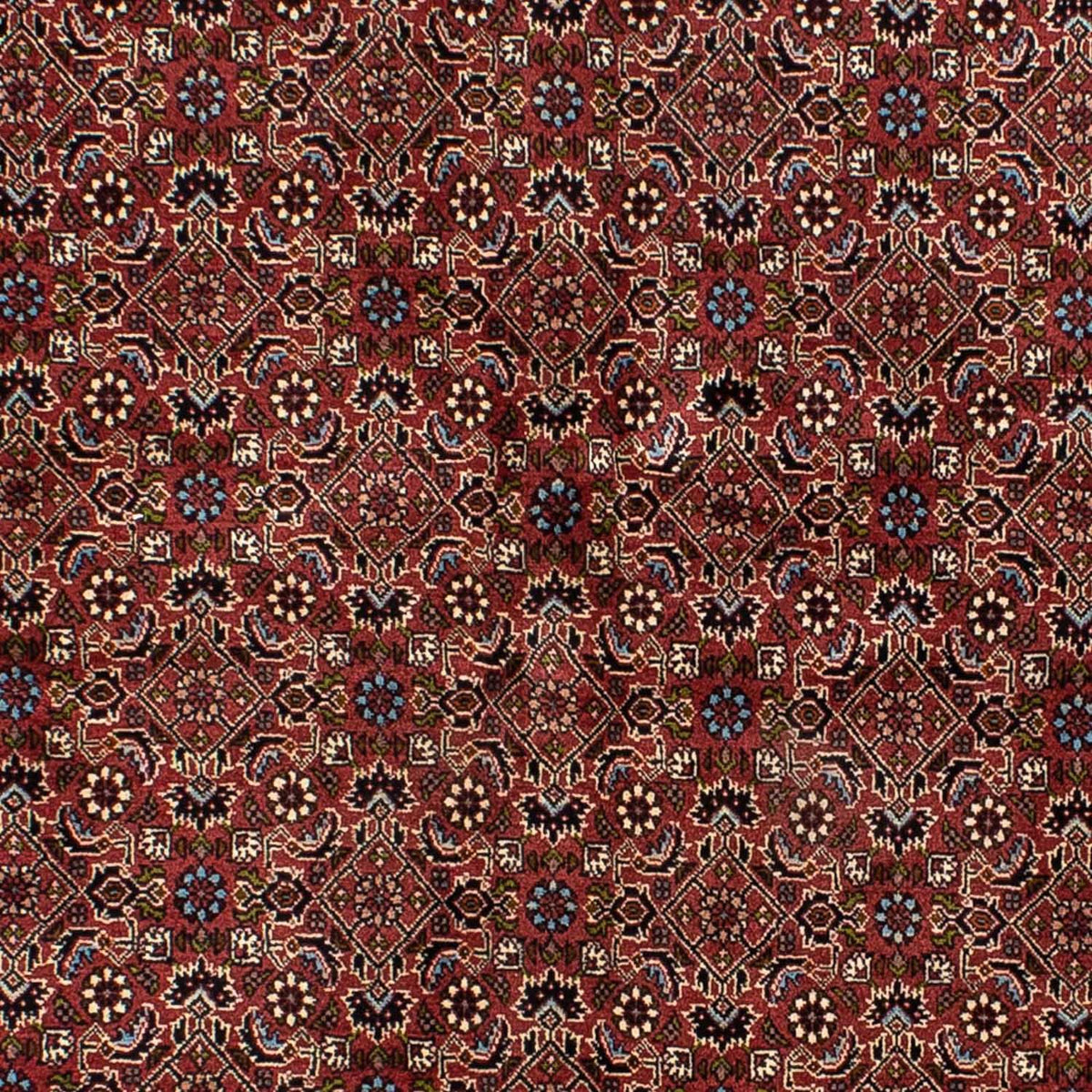 Alfombra persa - Bidjar - 205 x 141 cm - rojo oscuro