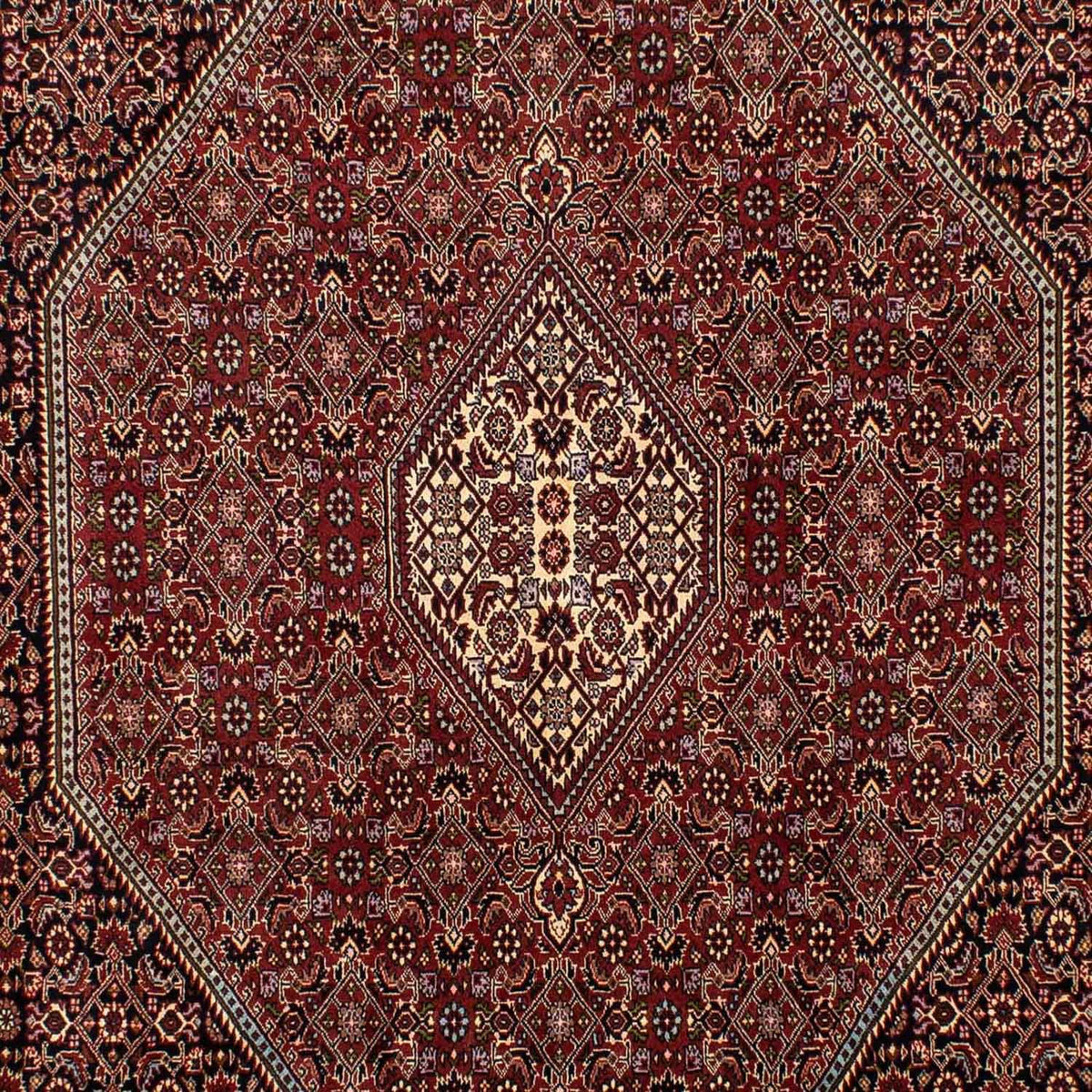 Alfombra persa - Bidjar - 283 x 199 cm - marrón