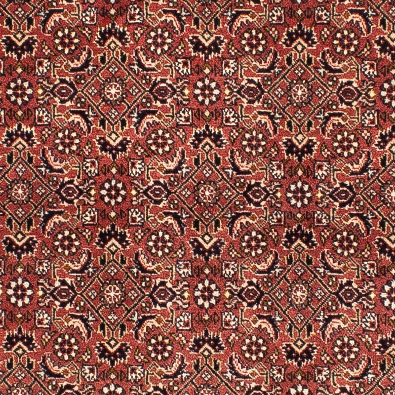 Alfombra persa - Bidjar cuadrado  - 200 x 195 cm - rojo claro