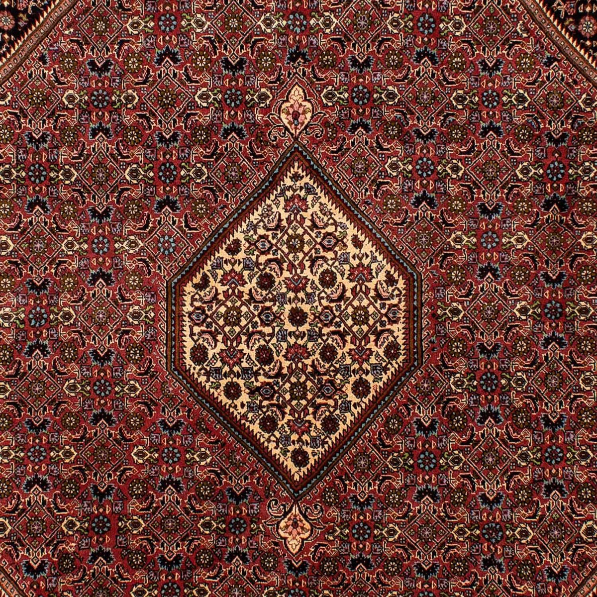 Alfombra persa - Bidjar - 288 x 202 cm - marrón