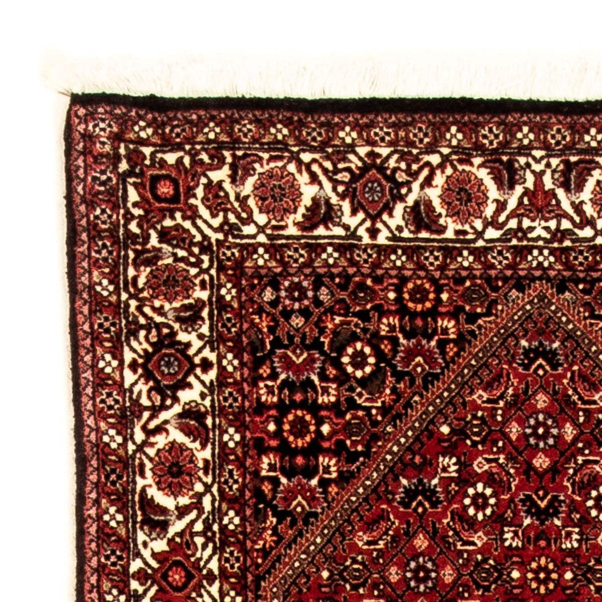 Alfombra de pasillo Alfombra persa - Bidjar - 315 x 77 cm - multicolor