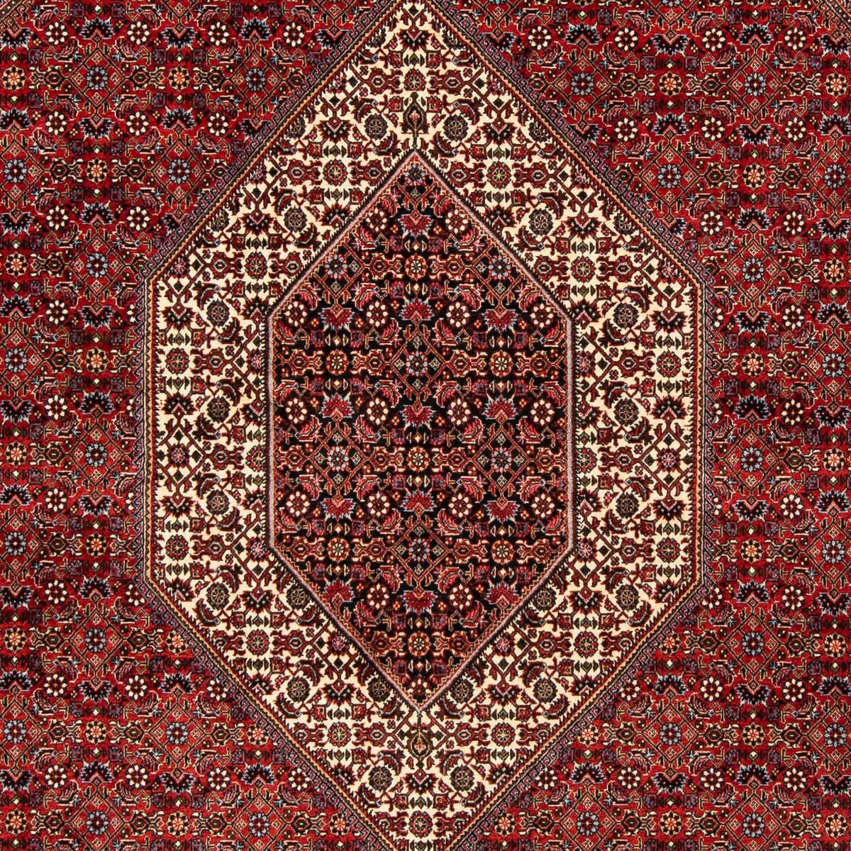 Alfombra persa - Bidjar - 244 x 200 cm - rojo oscuro