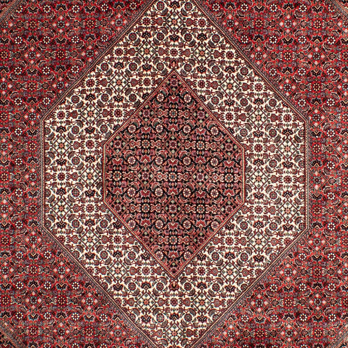 Alfombra persa - Bidjar - 302 x 204 cm - rojo claro