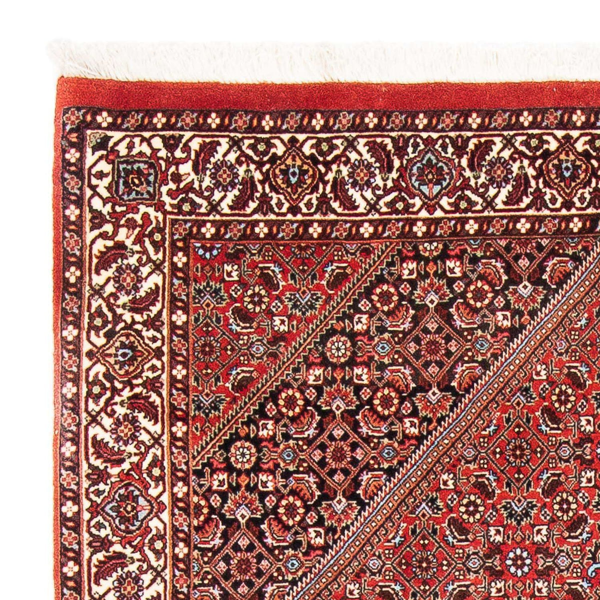 Alfombra persa - Bidjar - 186 x 110 cm - rojo