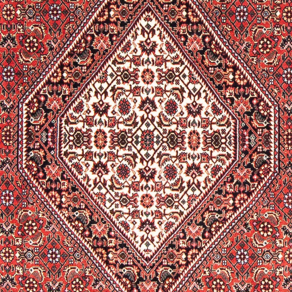 Alfombra persa - Bidjar - 175 x 108 cm - rojo