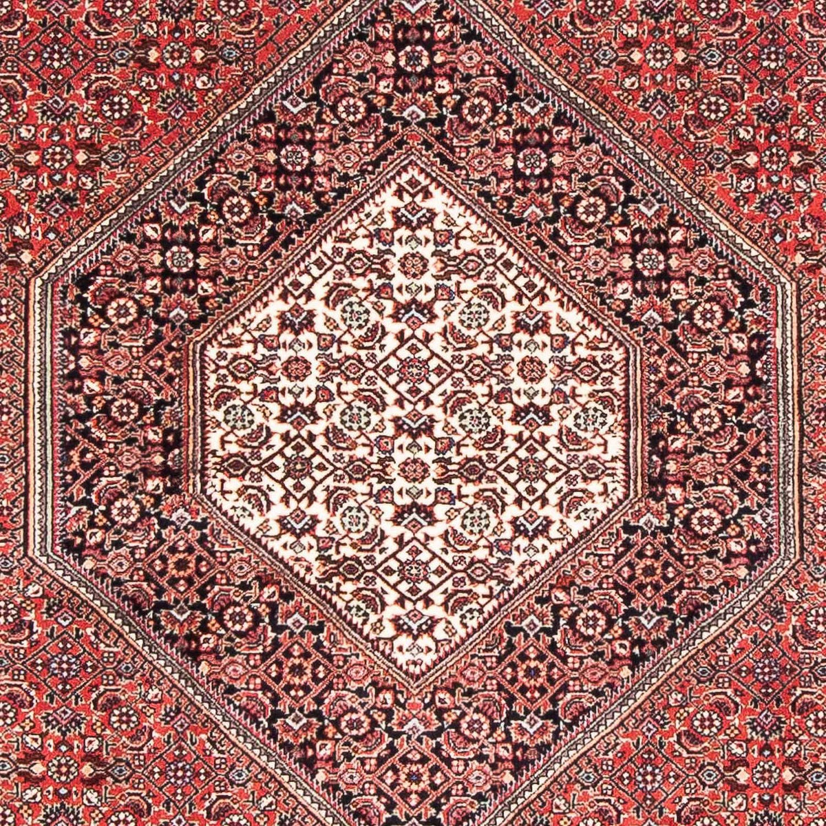 Alfombra persa - Bidjar - 174 x 110 cm - rojo claro