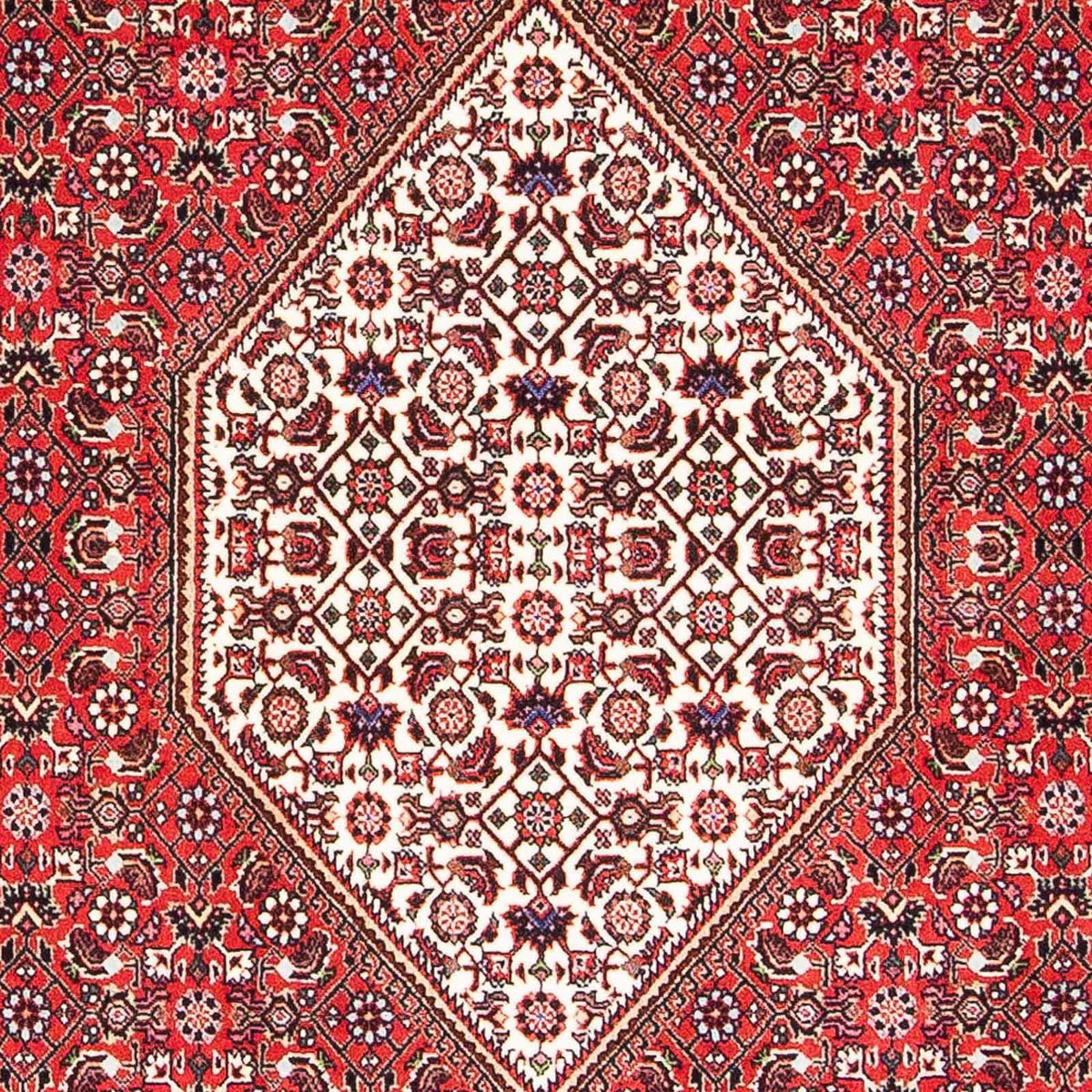 Alfombra persa - Bidjar - 175 x 108 cm - rojo