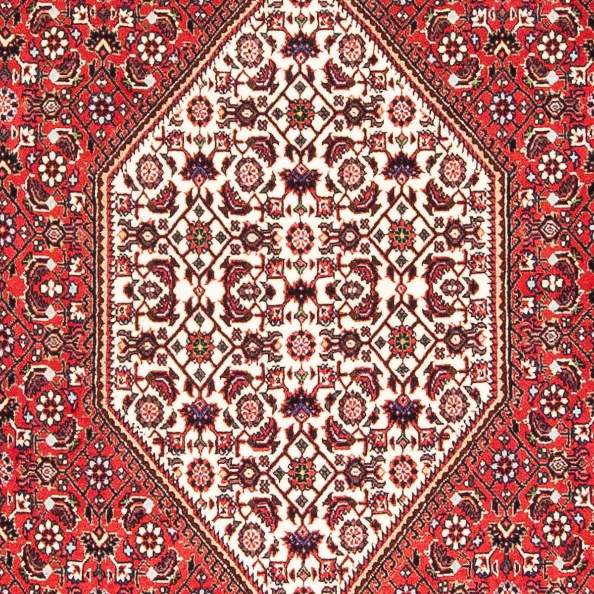 Alfombra persa - Bidjar - 175 x 110 cm - rojo
