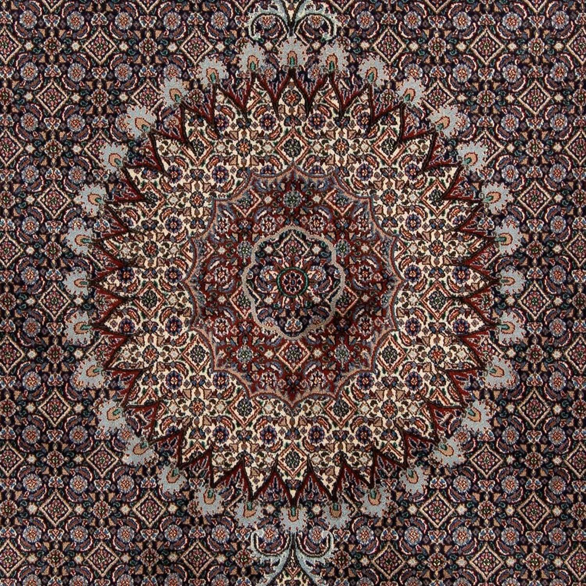 Alfombra persa - Clásica - 276 x 197 cm - azul oscuro