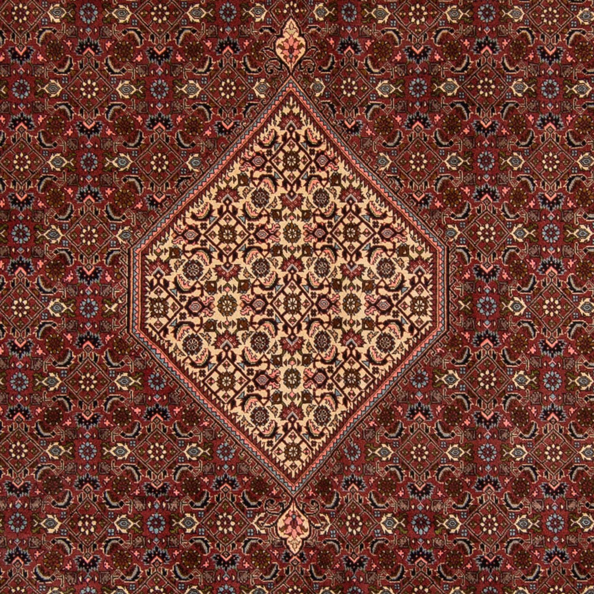 Alfombra persa - Bidjar - 356 x 243 cm - marrón