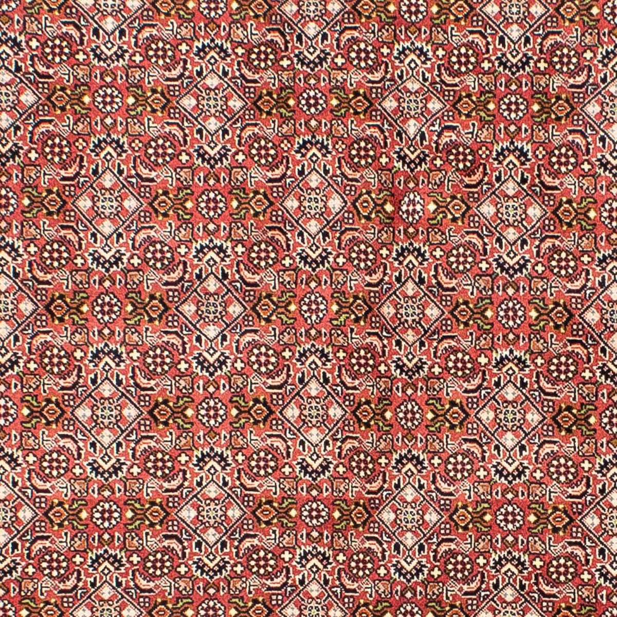 Alfombra persa - Bidjar - 215 x 136 cm - rojo claro