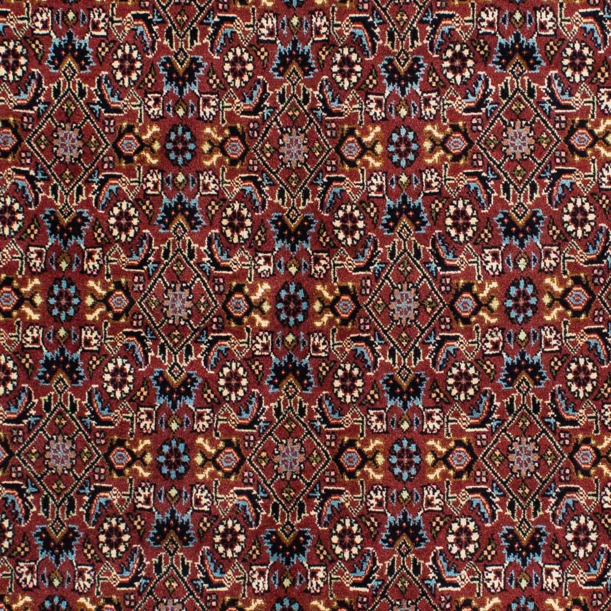 Alfombra persa - Bidjar - 210 x 139 cm - rojo