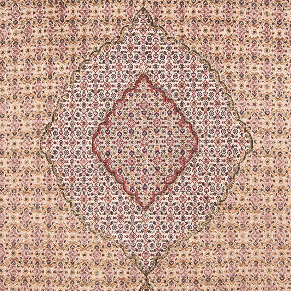 Alfombra persa - Tabriz - 288 x 197 cm - marrón claro